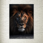 Quadro su tela Lion Pov