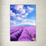 Quadro su tela Campo di Lavanda