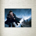 Quadro su Tela Harry Potter Fly
