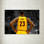 Quadro su tela Lebron James