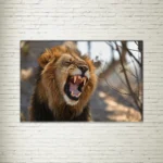 Quadro su Tela Stadio African Lion